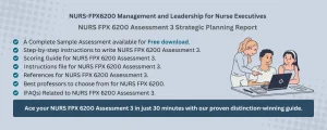 NURS FPX 6200 Assessment 3 Strategic Planning Report