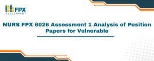 NURS FPX 6026 Assessment 1 Analysis of Position Papers for Vulnerable
