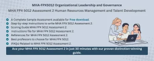 MHA FPX 5012 Assessment 2