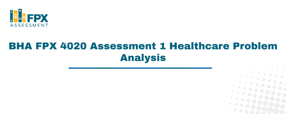 BHA FPX 4020 Assessment 1 Healthcare Problem Analysis