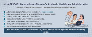 MHA FPX 5001 Assessment 2